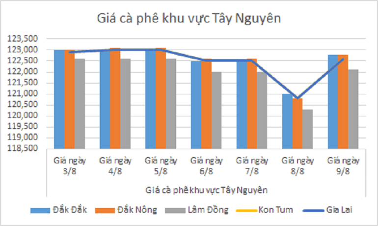 Bieu do gia ca phe ngay 9.8.2024-min_1723174257.png